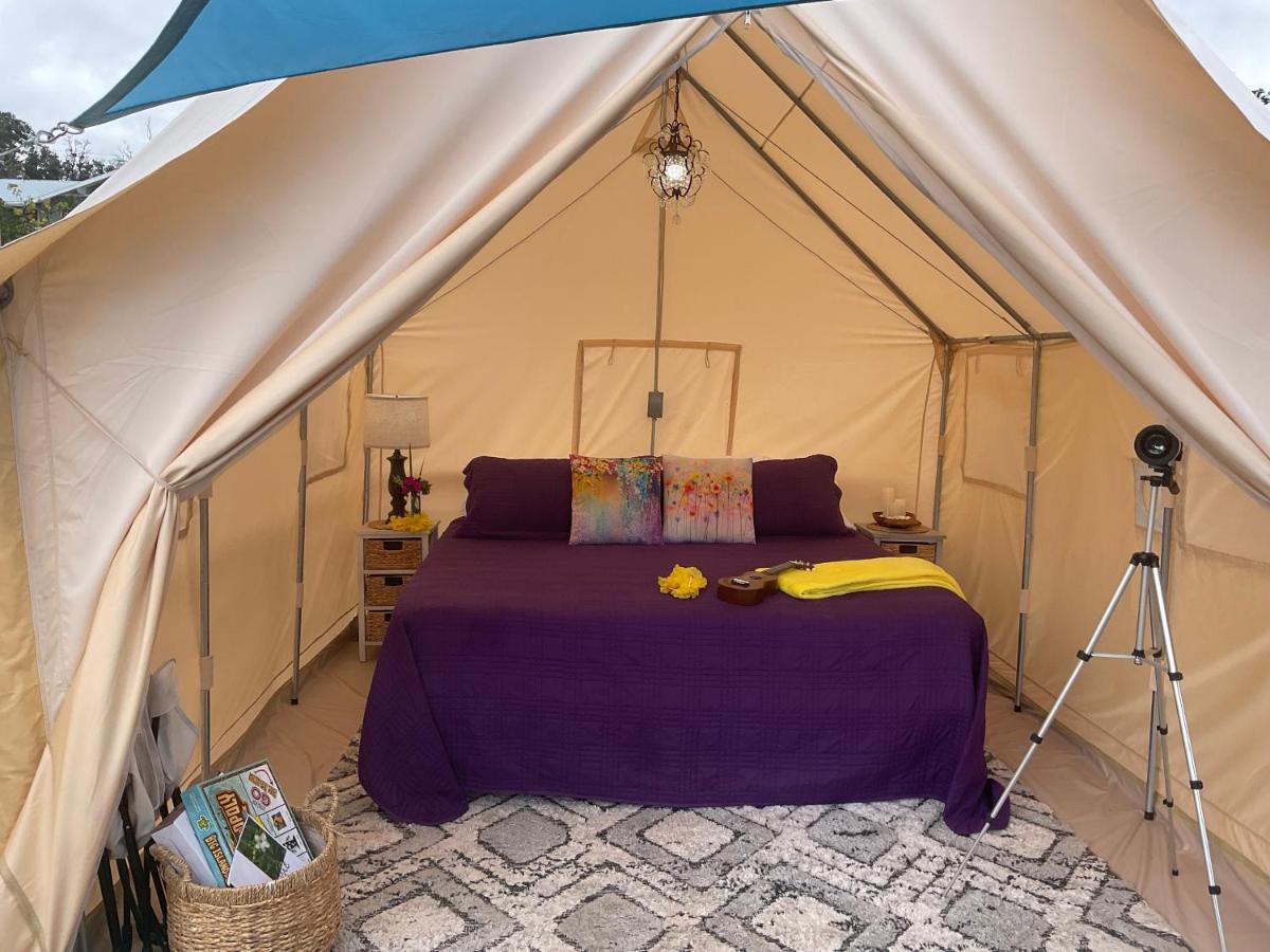 Tiki Cabana Otel Hawaiian Ocean View Dış mekan fotoğraf